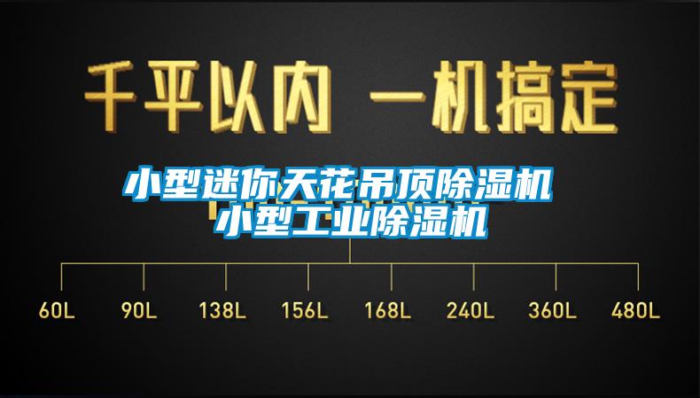 小型迷你天花吊頂除濕機 小型工業(yè)除濕機