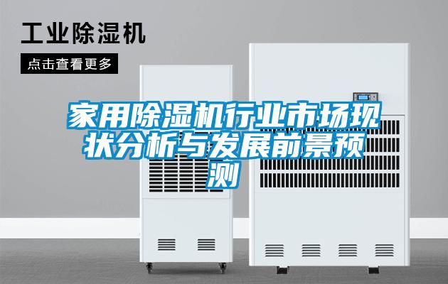 家用除濕機(jī)行業(yè)市場現(xiàn)狀分析與發(fā)展前景預(yù)測