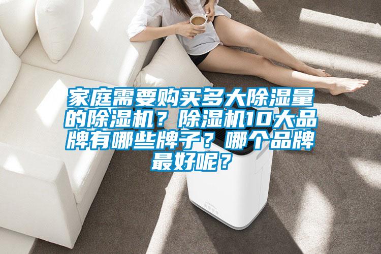 家庭需要購買多大除濕量的除濕機？除濕機10大品牌有哪些牌子？哪個品牌最好呢？