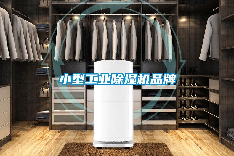 小型工業(yè)除濕機品牌