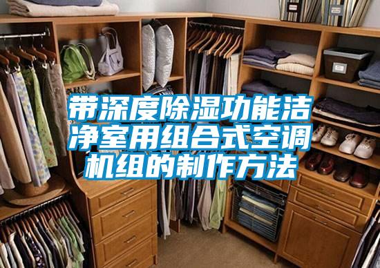 帶深度除濕功能潔凈室用組合式空調(diào)機組的制作方法
