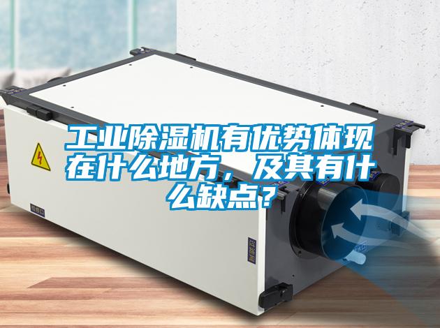 工業(yè)除濕機(jī)有優(yōu)勢體現(xiàn)在什么地方，及其有什么缺點(diǎn)？