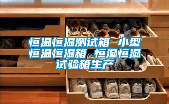 恒溫恒濕測(cè)試箱 小型恒溫恒濕箱 恒濕恒濕試驗(yàn)箱生產(chǎn)