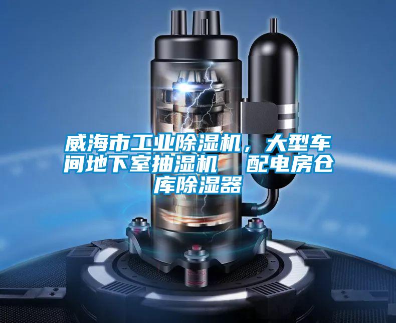 威海市工業(yè)除濕機(jī)，大型車間地下室抽濕機(jī)  配電房倉(cāng)庫(kù)除濕器