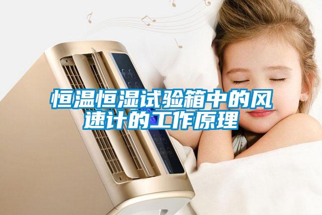 恒溫恒濕試驗(yàn)箱中的風(fēng)速計(jì)的工作原理
