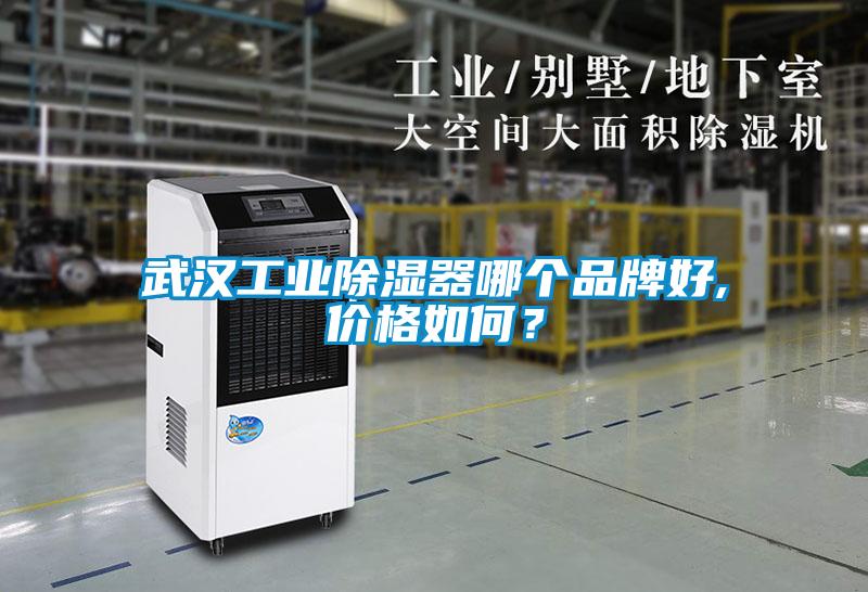 武漢工業(yè)除濕器哪個品牌好,價格如何？