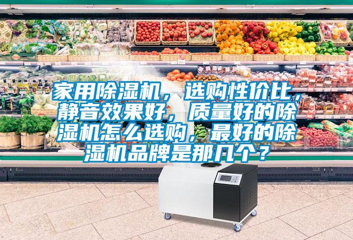 家用除濕機(jī)，選購(gòu)性價(jià)比，靜音效果好，質(zhì)量好的除濕機(jī)怎么選購(gòu)，最好的除濕機(jī)品牌是那幾個(gè)？
