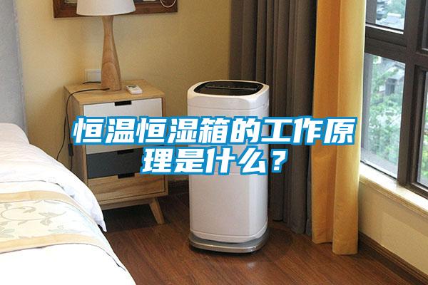 恒溫恒濕箱的工作原理是什么？