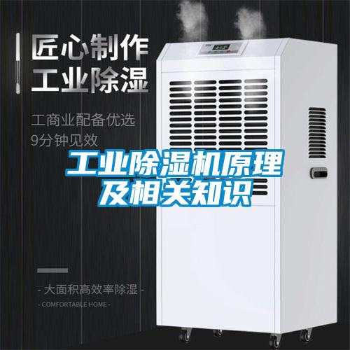 工業(yè)除濕機原理及相關知識