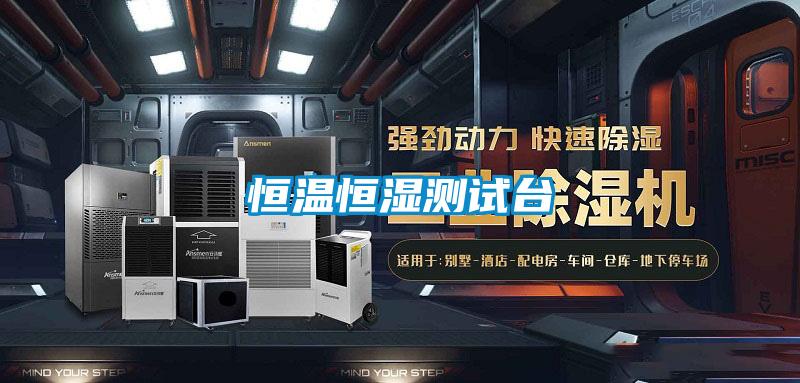 恒溫恒濕測(cè)試臺(tái)