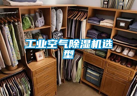 工業(yè)空氣除濕機(jī)選型