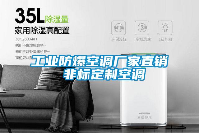 工業(yè)防爆空調(diào)廠家直銷 非標(biāo)定制空調(diào)