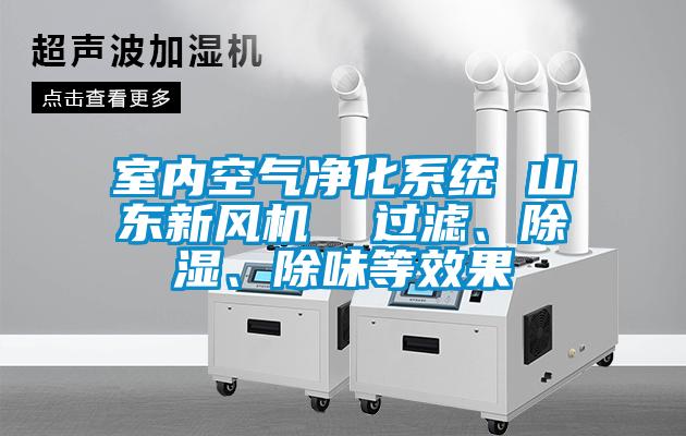 室內(nèi)空氣凈化系統(tǒng) 山東新風(fēng)機(jī)  過濾、除濕、除味等效果