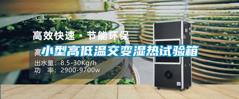 小型高低溫交變濕熱試驗箱