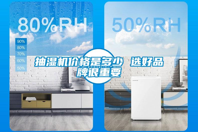抽濕機(jī)價(jià)格是多少 選好品牌很重要
