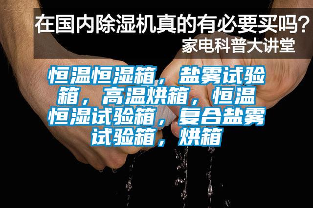 恒溫恒濕箱，鹽霧試驗(yàn)箱，高溫烘箱，恒溫恒濕試驗(yàn)箱，復(fù)合鹽霧試驗(yàn)箱，烘箱