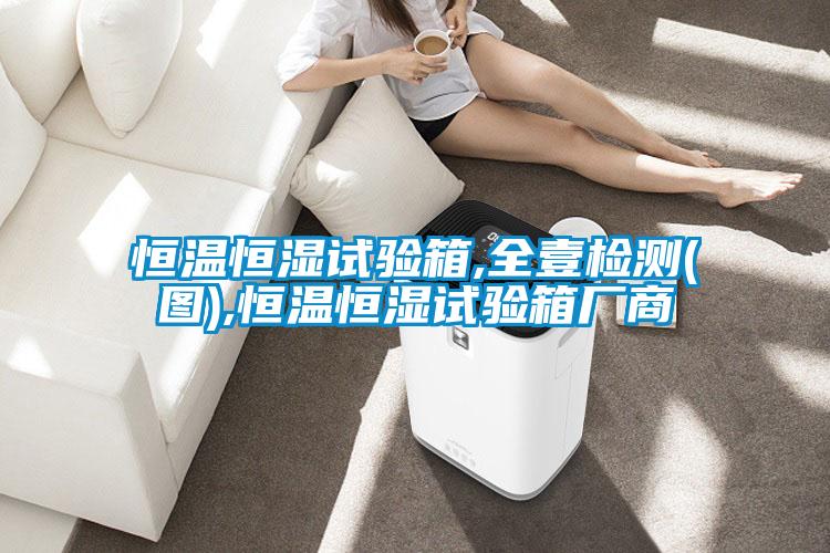 恒溫恒濕試驗(yàn)箱,全壹檢測(圖),恒溫恒濕試驗(yàn)箱廠商