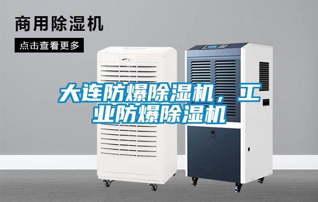 大連防爆除濕機(jī)，工業(yè)防爆除濕機(jī)