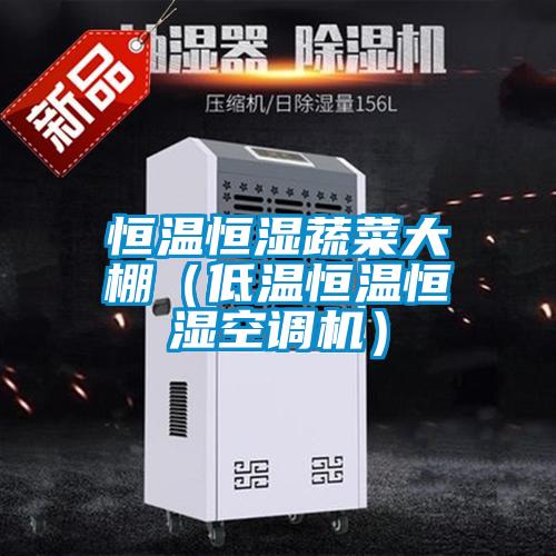 恒溫恒濕蔬菜大棚（低溫恒溫恒濕空調(diào)機）