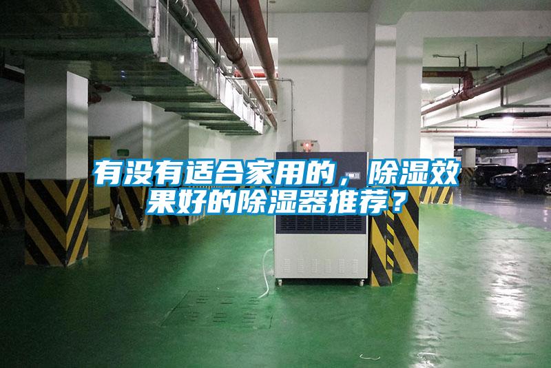 有沒有適合家用的，除濕效果好的除濕器推薦？