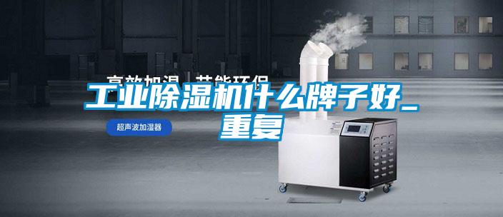 工業(yè)除濕機什么牌子好_重復(fù)