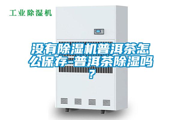 沒(méi)有除濕機(jī)普洱茶怎么保存-普洱茶除濕嗎？