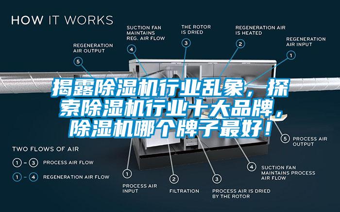 揭露除濕機(jī)行業(yè)亂象，探索除濕機(jī)行業(yè)十大品牌，除濕機(jī)哪個(gè)牌子最好！