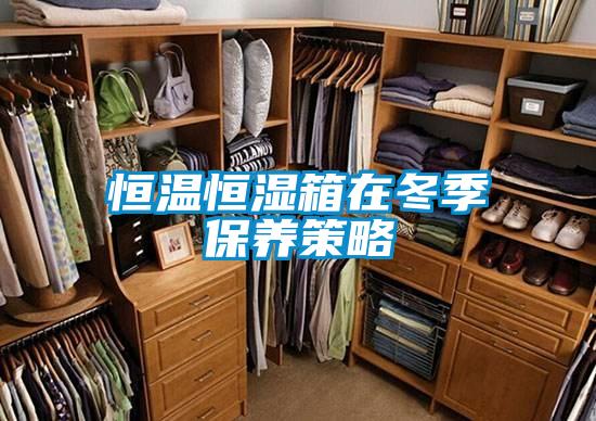 恒溫恒濕箱在冬季保養(yǎng)策略
