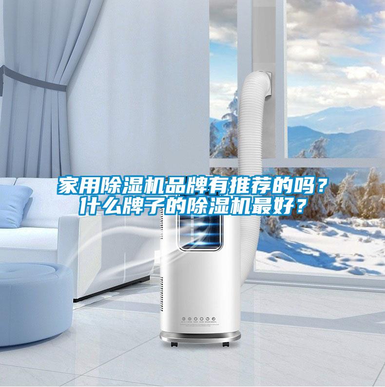 家用除濕機(jī)品牌有推薦的嗎？什么牌子的除濕機(jī)最好？