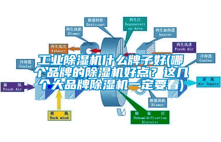 工業(yè)除濕機什么牌子好(哪個品牌的除濕機好點？這幾個大品牌除濕機一定要看)