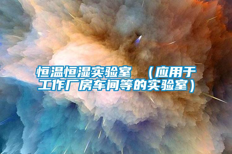 恒溫恒濕實(shí)驗(yàn)室 （應(yīng)用于工作廠房車間等的實(shí)驗(yàn)室）