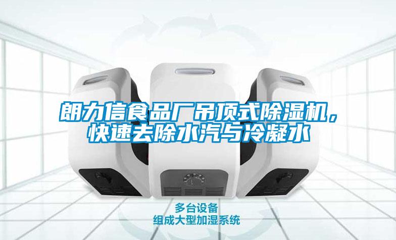 朗力信食品廠吊頂式除濕機，快速去除水汽與冷凝水