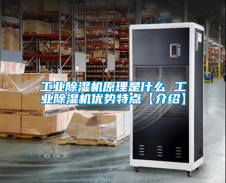 工業(yè)除濕機原理是什么 工業(yè)除濕機優(yōu)勢特點【介紹】