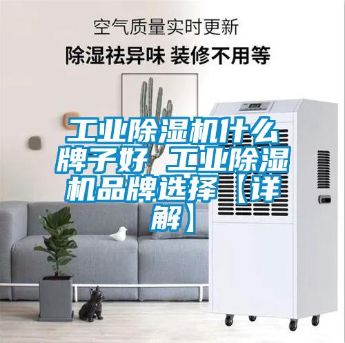 工業(yè)除濕機什么牌子好 工業(yè)除濕機品牌選擇【詳解】