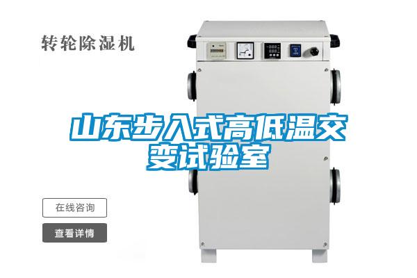 山東步入式高低溫交變?cè)囼?yàn)室