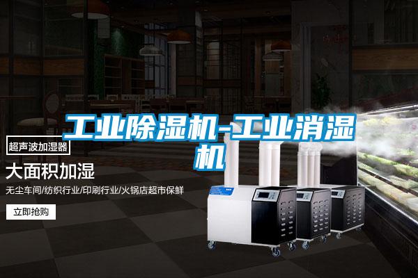 工業(yè)除濕機-工業(yè)消濕機