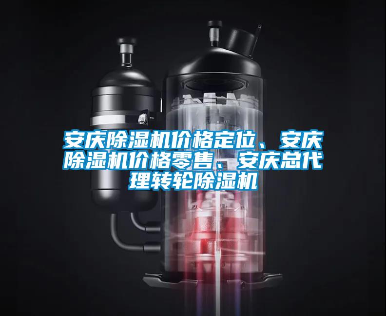 安慶除濕機價格定位、安慶除濕機價格零售、安慶總代理轉(zhuǎn)輪除濕機