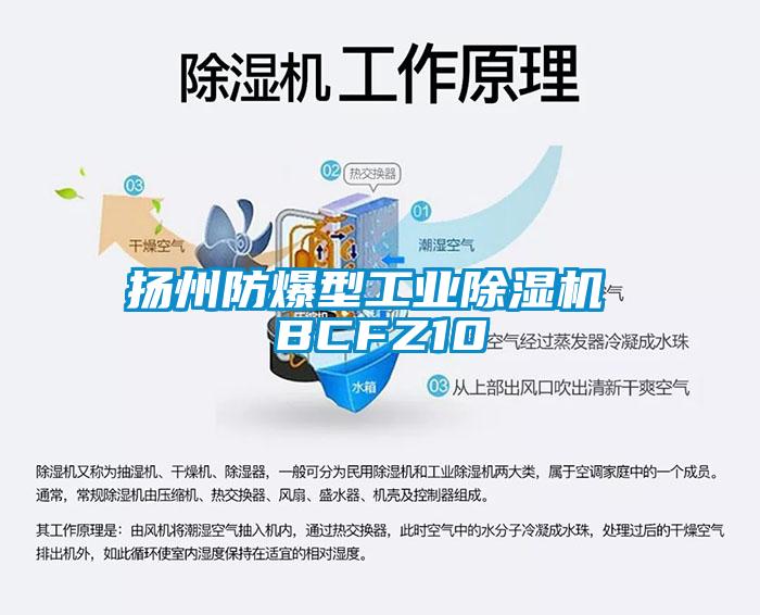 揚州防爆型工業(yè)除濕機 BCFZ10