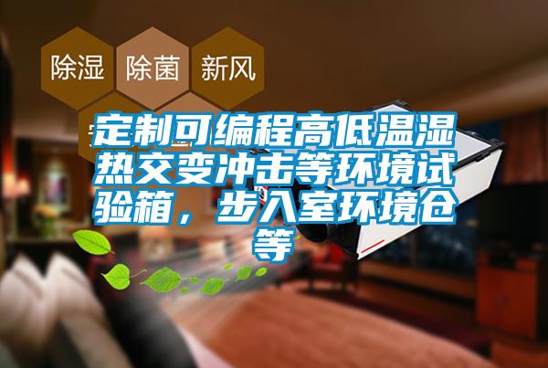 定制可編程高低溫濕熱交變沖擊等環(huán)境試驗箱，步入室環(huán)境倉等