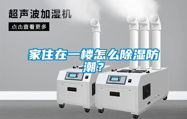 家住在一樓怎么除濕防潮？