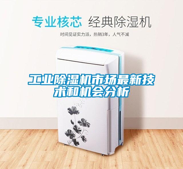 工業(yè)除濕機(jī)市場(chǎng)最新技術(shù)和機(jī)會(huì)分析