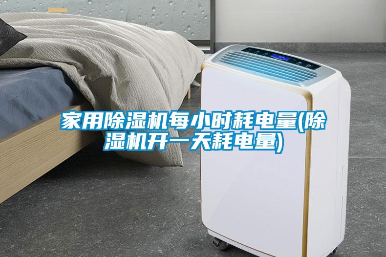 家用除濕機(jī)每小時(shí)耗電量(除濕機(jī)開一天耗電量)