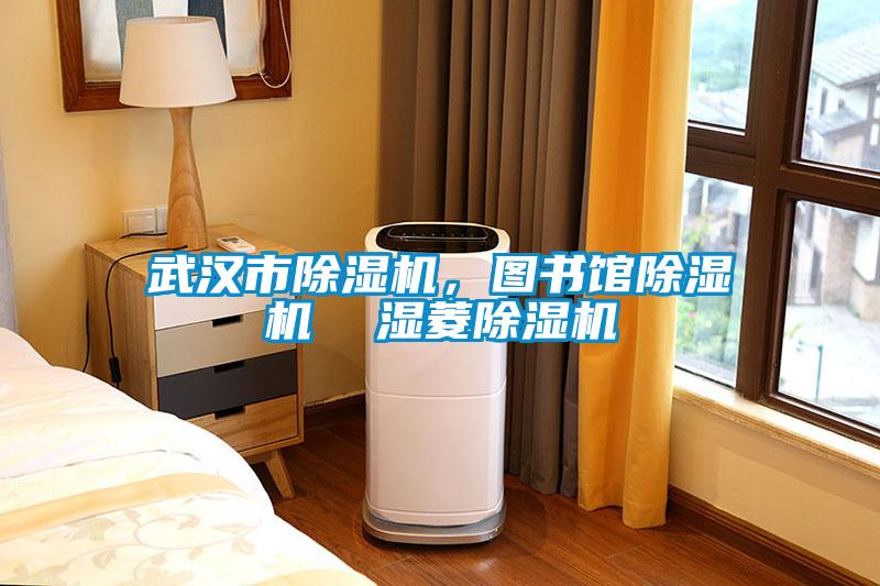 武漢市除濕機，圖書館除濕機  濕菱除濕機