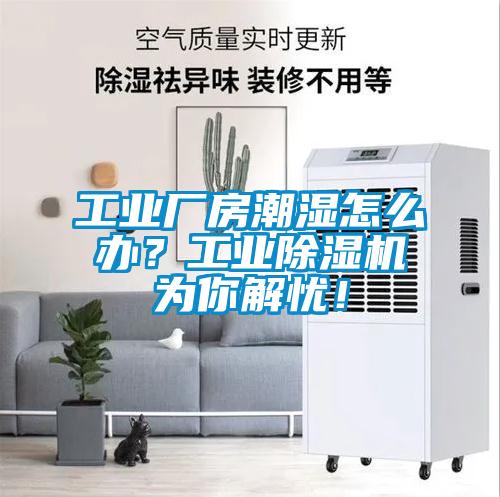 工業(yè)廠房潮濕怎么辦？工業(yè)除濕機為你解憂！