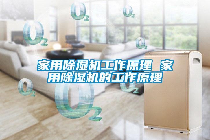 家用除濕機(jī)工作原理 家用除濕機(jī)的工作原理