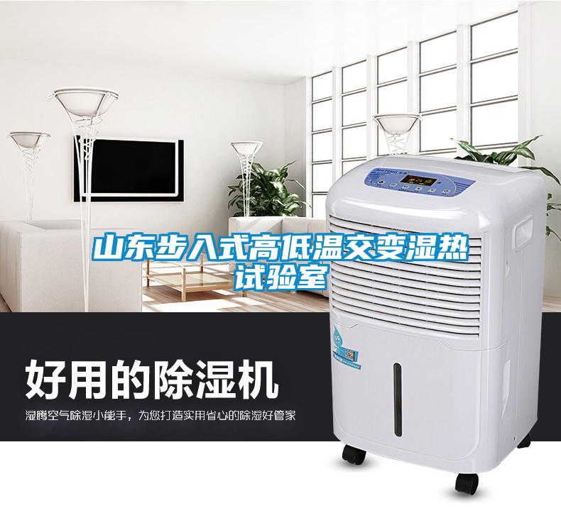 山東步入式高低溫交變濕熱試驗(yàn)室