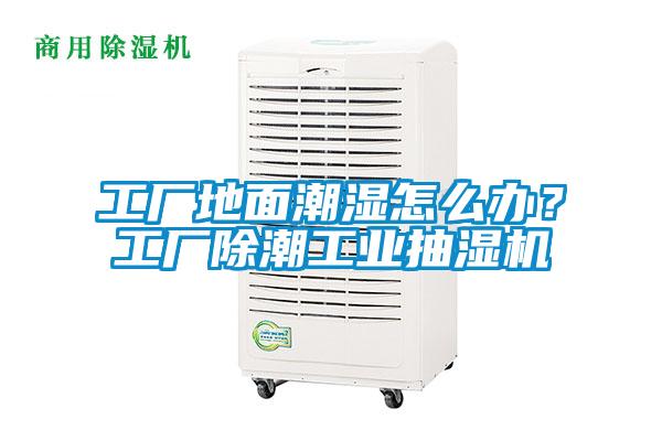 工廠地面潮濕怎么辦？工廠除潮工業(yè)抽濕機(jī)
