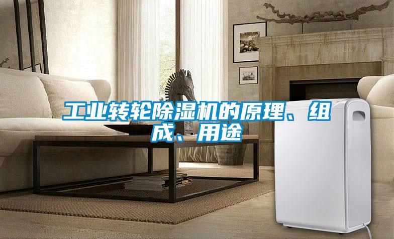 工業(yè)轉(zhuǎn)輪除濕機(jī)的原理、組成、用途