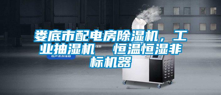 婁底市配電房除濕機(jī)，工業(yè)抽濕機(jī)  恒溫恒濕非標(biāo)機(jī)器
