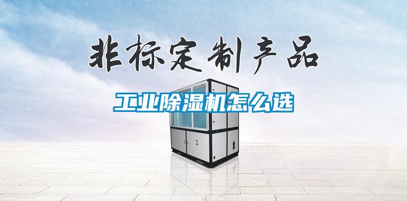 工業(yè)除濕機怎么選
